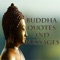 Buddha Best Quotes And Messages