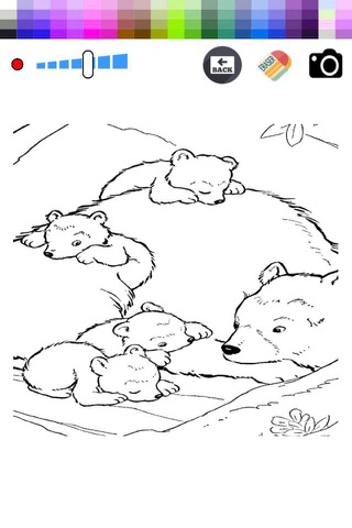 Bear Animals - Zoo Coloring Book - for Kids screenshot 2