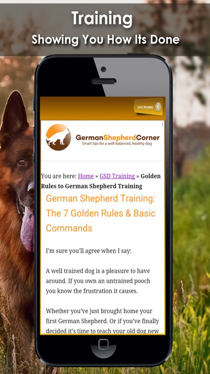 K9 German Shepherds Watch Dogs - Adoption & Rescue screenshot-1