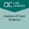 Analysis of Fossil Evidence