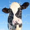 Cow Jigsaw Puzzles Games For Kids Education