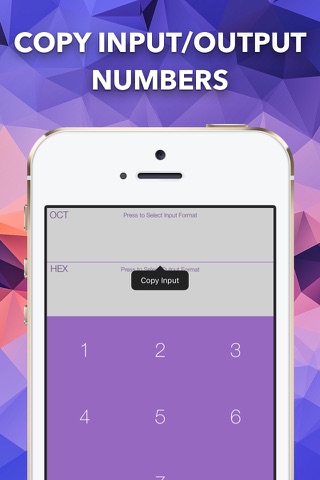 Number Format Translator screenshot 4