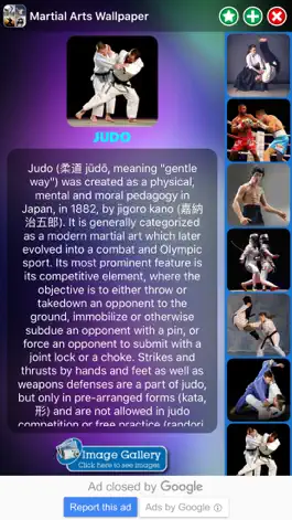 Game screenshot Martial Arts Wallpaper mod apk