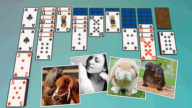 Solitaire Pets(圖4)-速報App