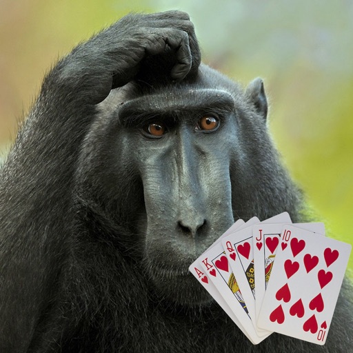 Baboon Casino Slot iOS App