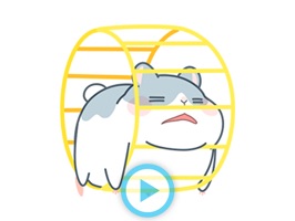 Cheerful Hamster - Animated Stickers
