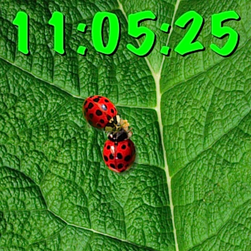 Ladybugs clock