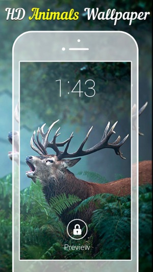 Animal Wallpapers Backgrounds On The App Store