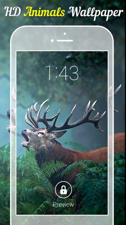 Animal Wallpapers & Backgrounds screenshot-3