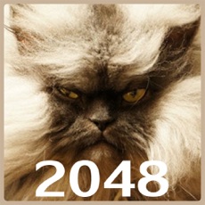 Activities of Cats 2048 with mPoints