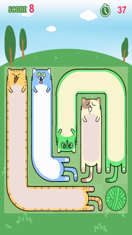 Cute Long Long Cat