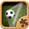 Real Sport Puzzle Games - Fun Jigsaw Puzzles