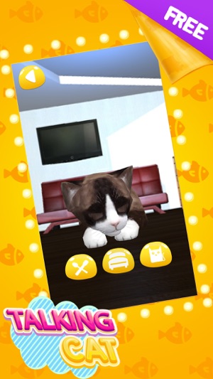 Talking Cat Cute(圖3)-速報App