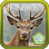 The Deer Simulator