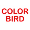 Color Bird Game