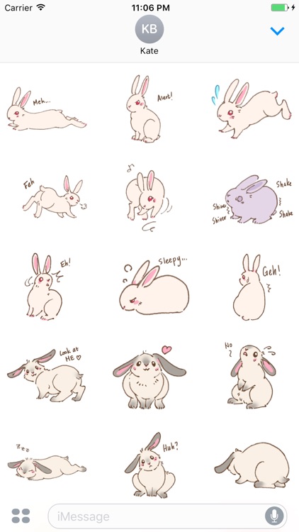 Couple Bunny English Sticker