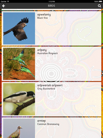 Thep Anmatyerr Birds - náhled