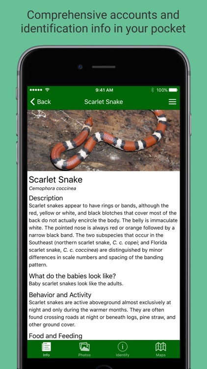 Snakes of the Southeast