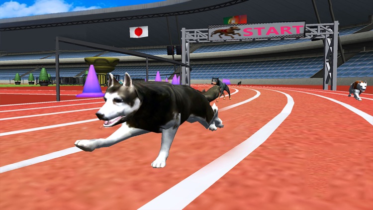 Ultimate Dog Racing : Virtual Stray Simulator 2017