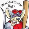 BoomTown Rats