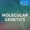 “Genetics and Molecular Biology” is an interactive app for students to learn about molecular genetics, molecular biology and genetics, genetics biology, bio genetics in an easy and engrossing way by visualizing the colorful images and videos