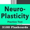 Neuroplasticity Practice Test 3100 Exam Quiz