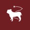 Voted #1 campus app for Mississippi State University