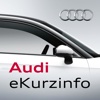 Audi eKurzinfo