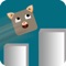 Kitty Jump Box Pro - Animal Arcade Game