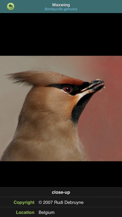 Birds of Britain & Ireland screenshot-3