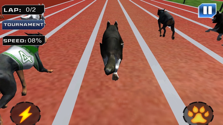 Super Dog Racing Champions screenshot-3