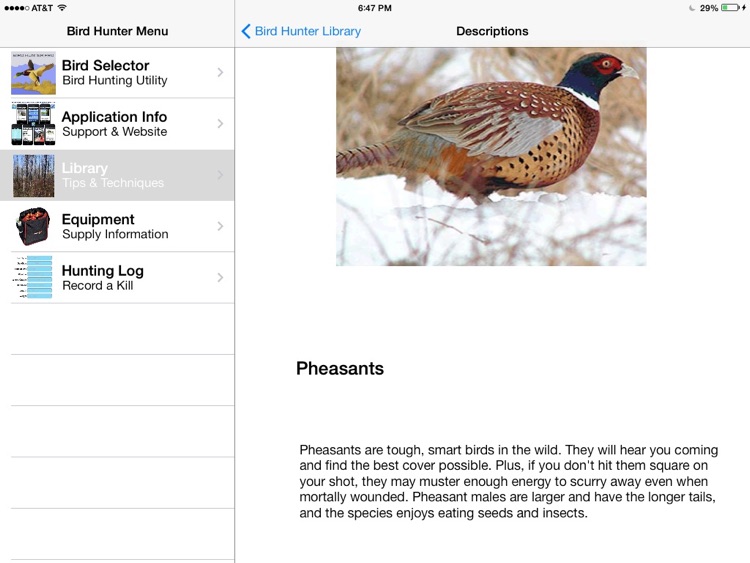 Bird Hunter Pro