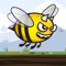 Angry Bee Fly
