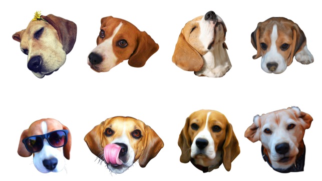 Beaglemoji - emoji keyboard(圖3)-速報App