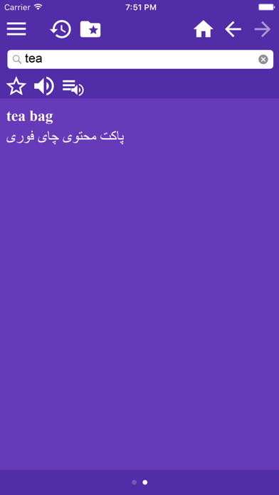 فرهنگ فارسی چند زبانه screenshot 3