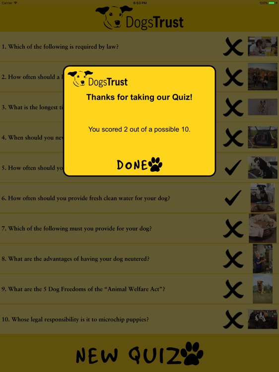 Dogs Trust Quiz