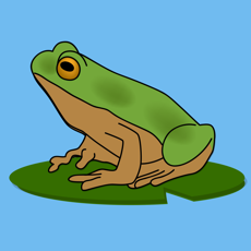 Activities of Frog Tantal