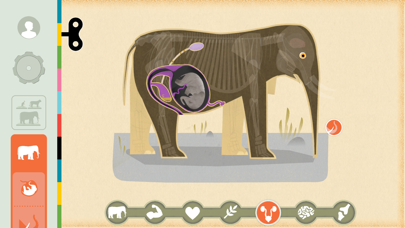 Mammals by Tinybop Screenshot 2