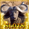 Slots: Angry Bulls