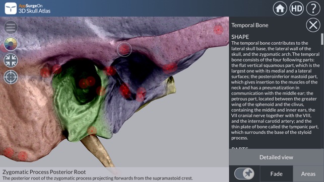 3D Skull Atlas(圖2)-速報App