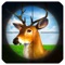 Wild Hunter Jungle 3D