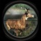 Ultimate Big Deer Hunt Simulator Sniper Challenge