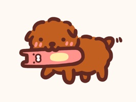 귀여운 아기 푸들 키미를 iMessage에서 만나보세요