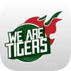 We Are Tigers