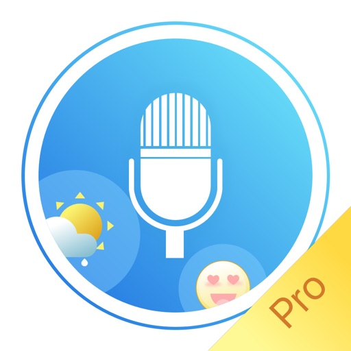 Voice Diary -Pro  Keep a Diary by Voices icon