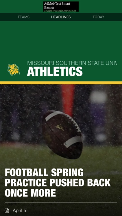 Missouri Southern State University Lions