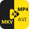 AnyMP4 MKV Converter