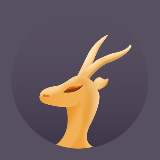 羚羊加速器-VPN海外网络加速 iOS App