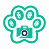 豆猫水印相机-取证打卡,私密相册保护你的隐私