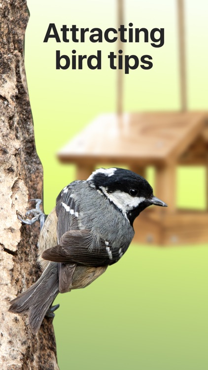 Picture Bird: Birds Identifier screenshot-5